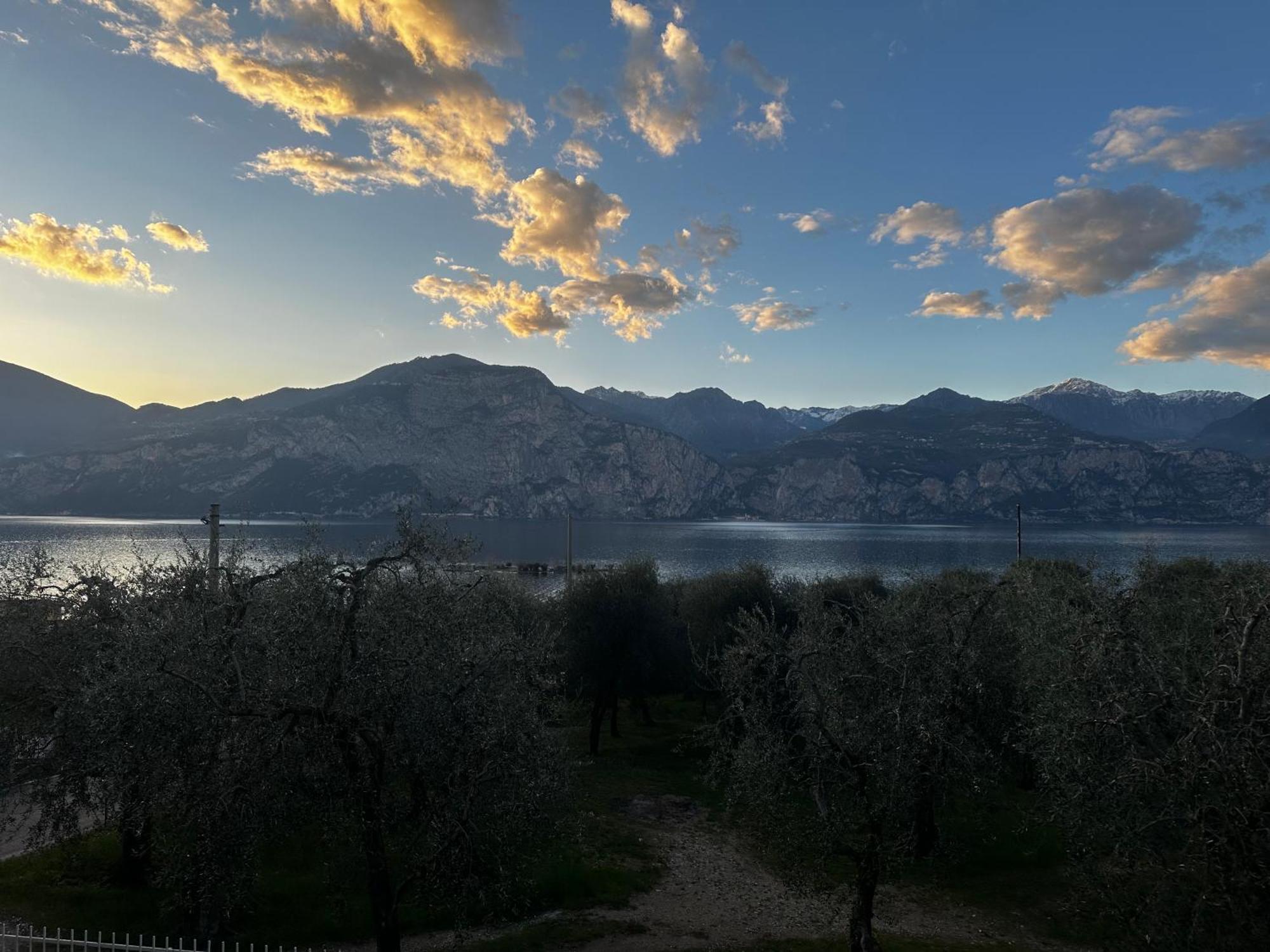 Villalvento برنزوني سول جاردا المظهر الخارجي الصورة